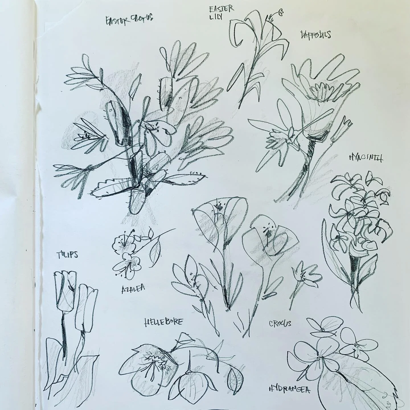 As the old saying goes, &ldquo;February showers bring March greeting cards and wall art&rdquo;&hellip; or something like that.

Anyway, some new things coming real soon. Available at visitrosslands.com .

Copyrighted artwork 2023 ROSSLANDS LLC
.
#ill