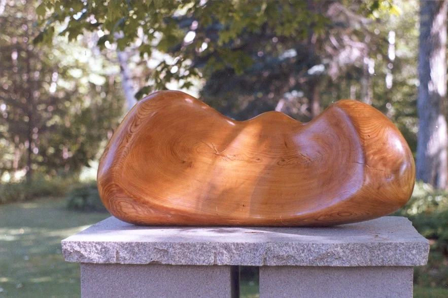 "Wings" Elm wood, 36 inches long. 1983