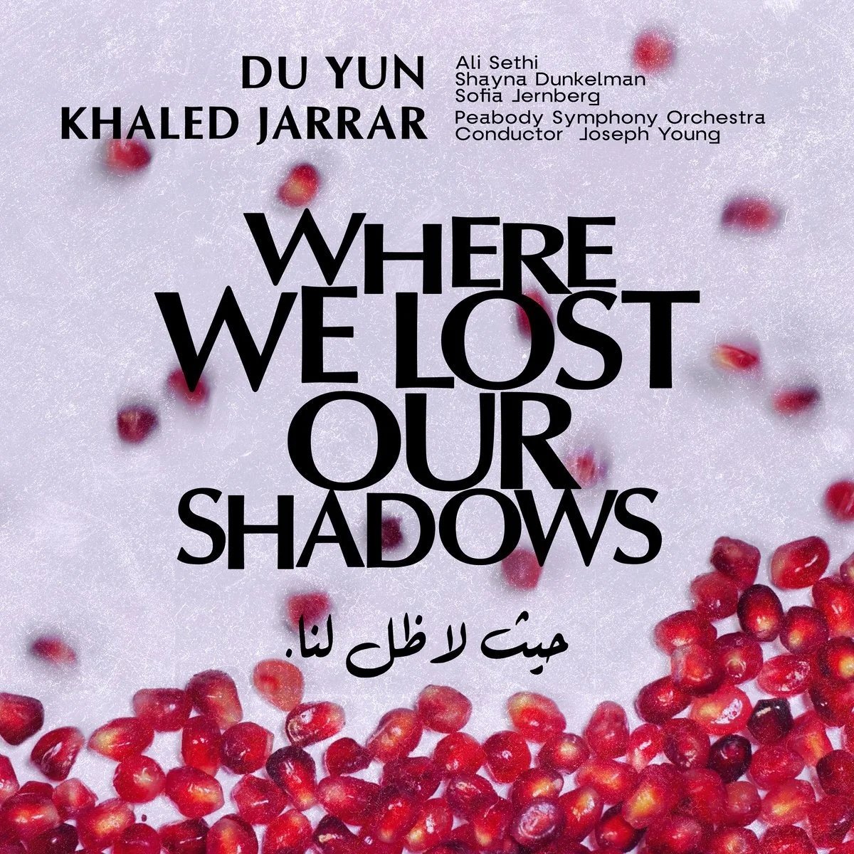 Du Yun/Where We Lost Our Shadows (PERC)