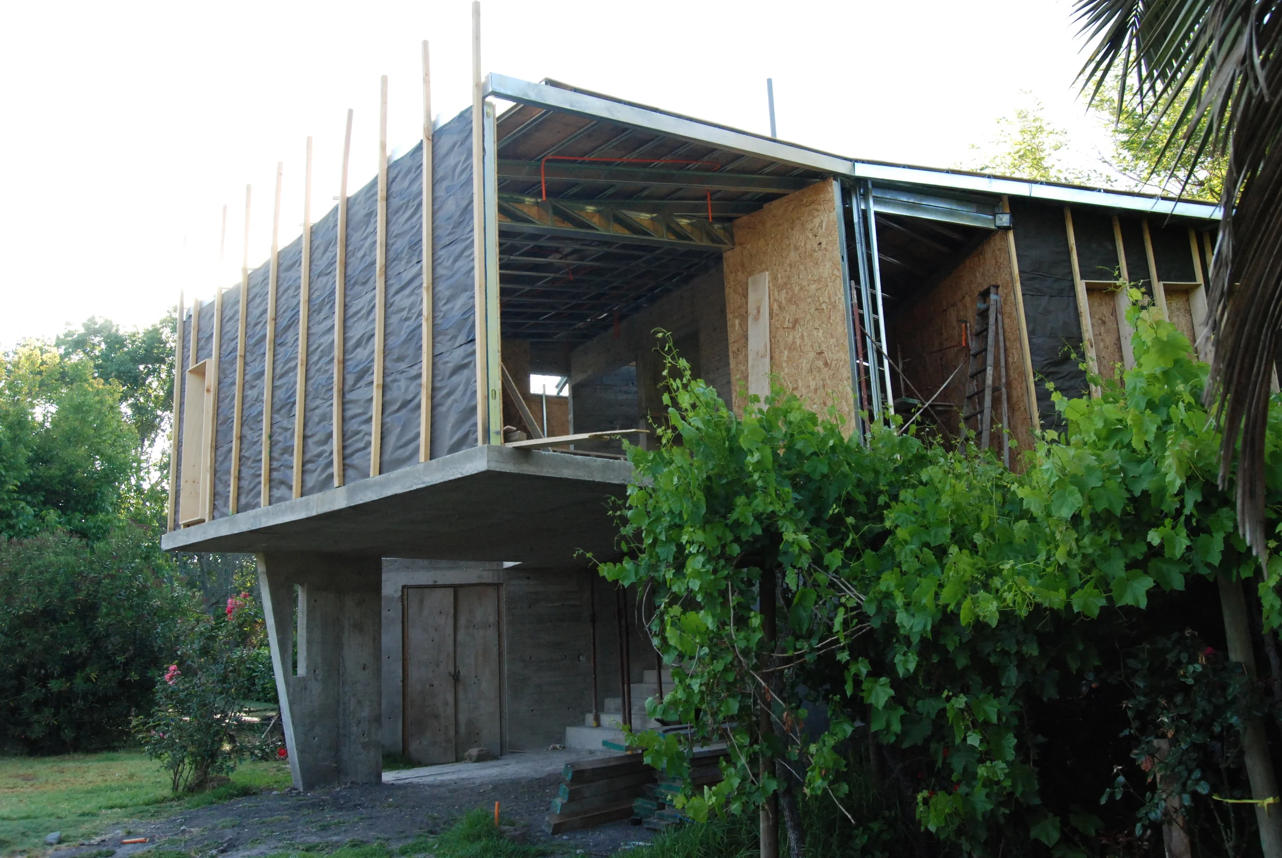  Photo: Fernanda Vargas. November 2015    