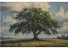 Sip &amp; Paint Class - The Mighty Oak