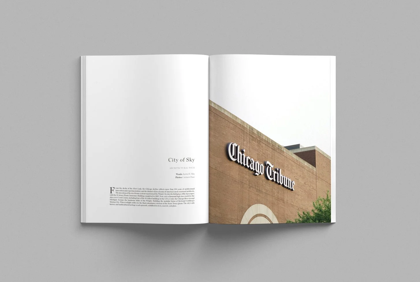 Cereal-Volume-14-page1-1455x976.jpg