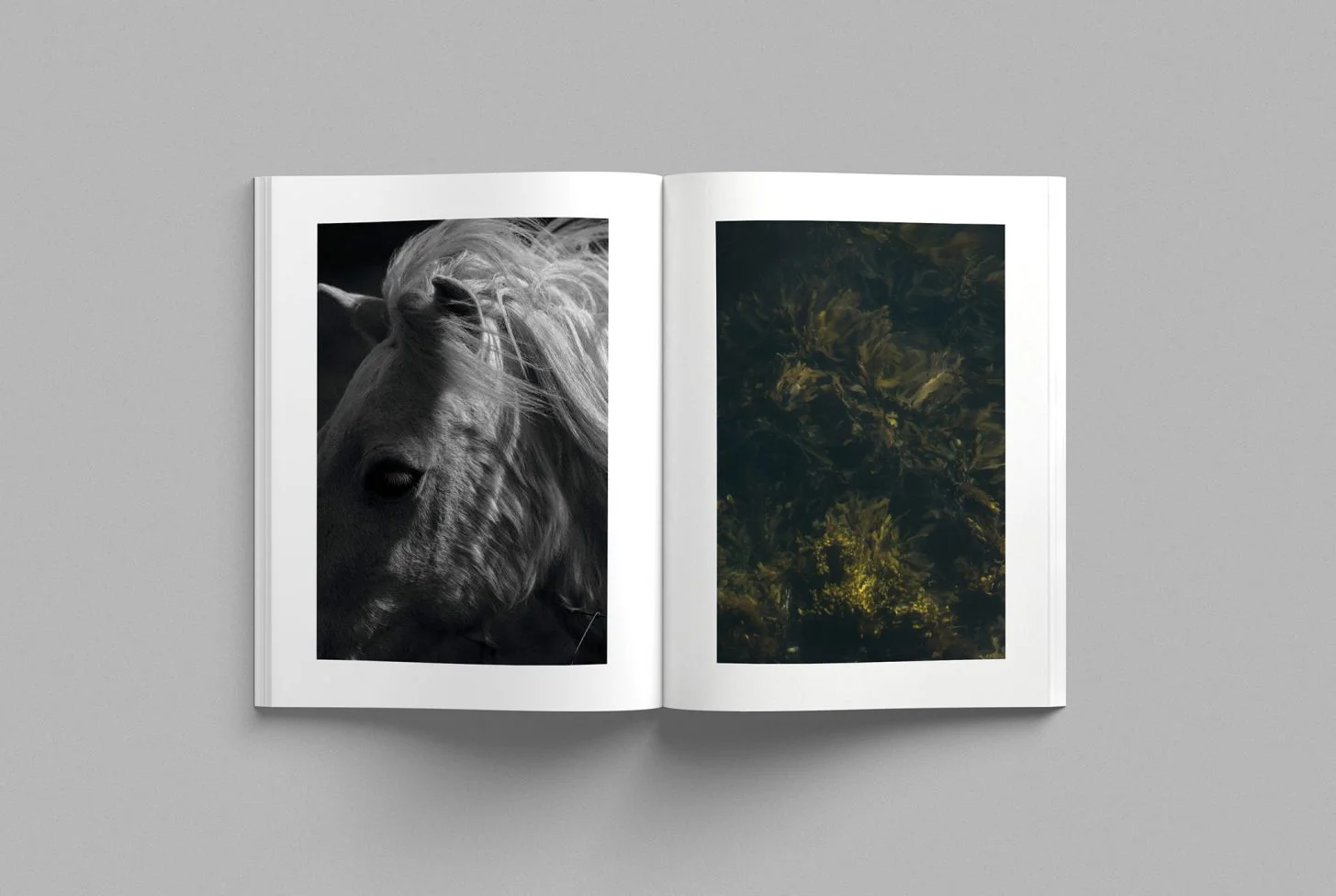 Cereal-Volume-14-page3-1455x976.jpg