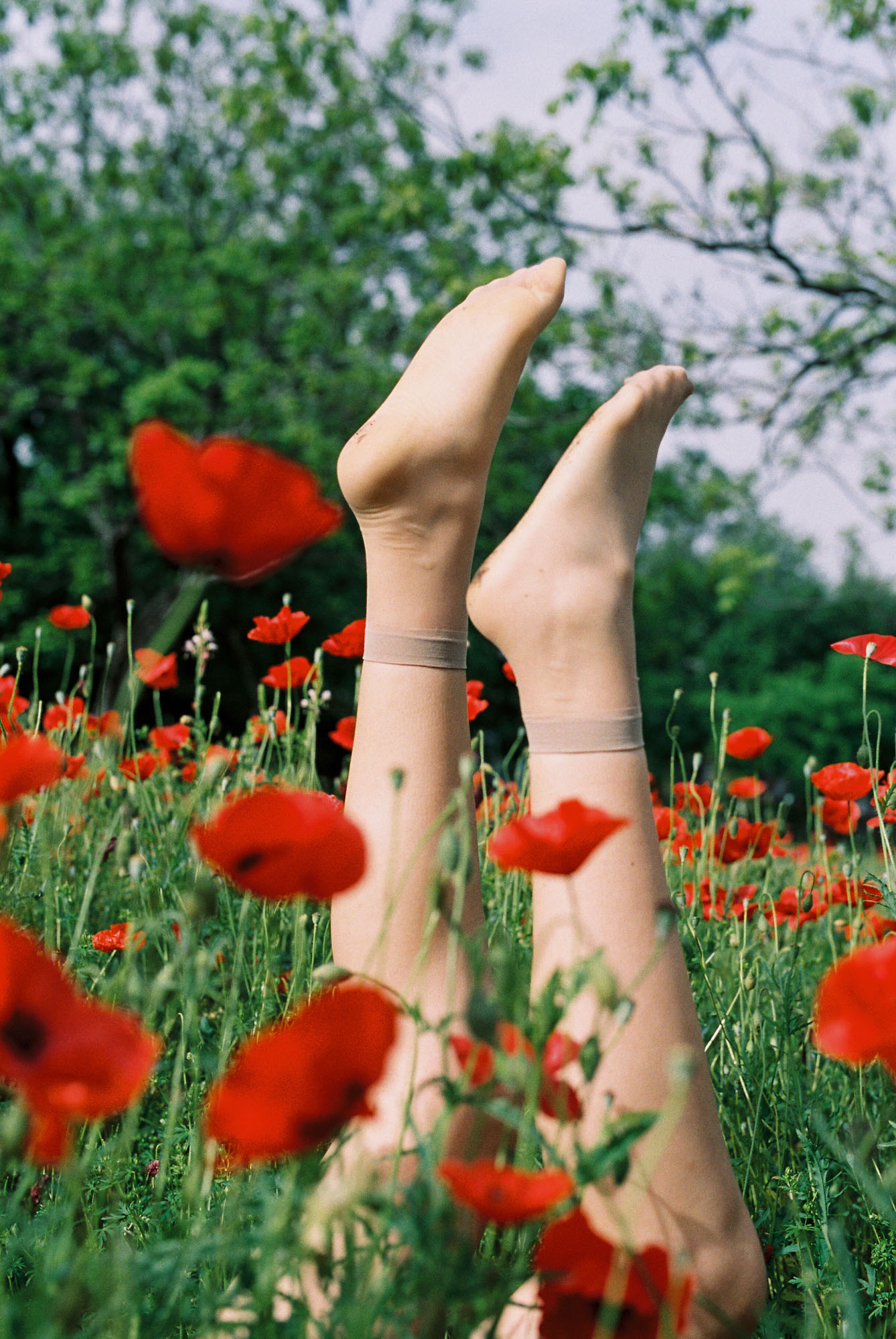 Tender Things - Cathlin McCullough Photography | Legs in Red Poppies