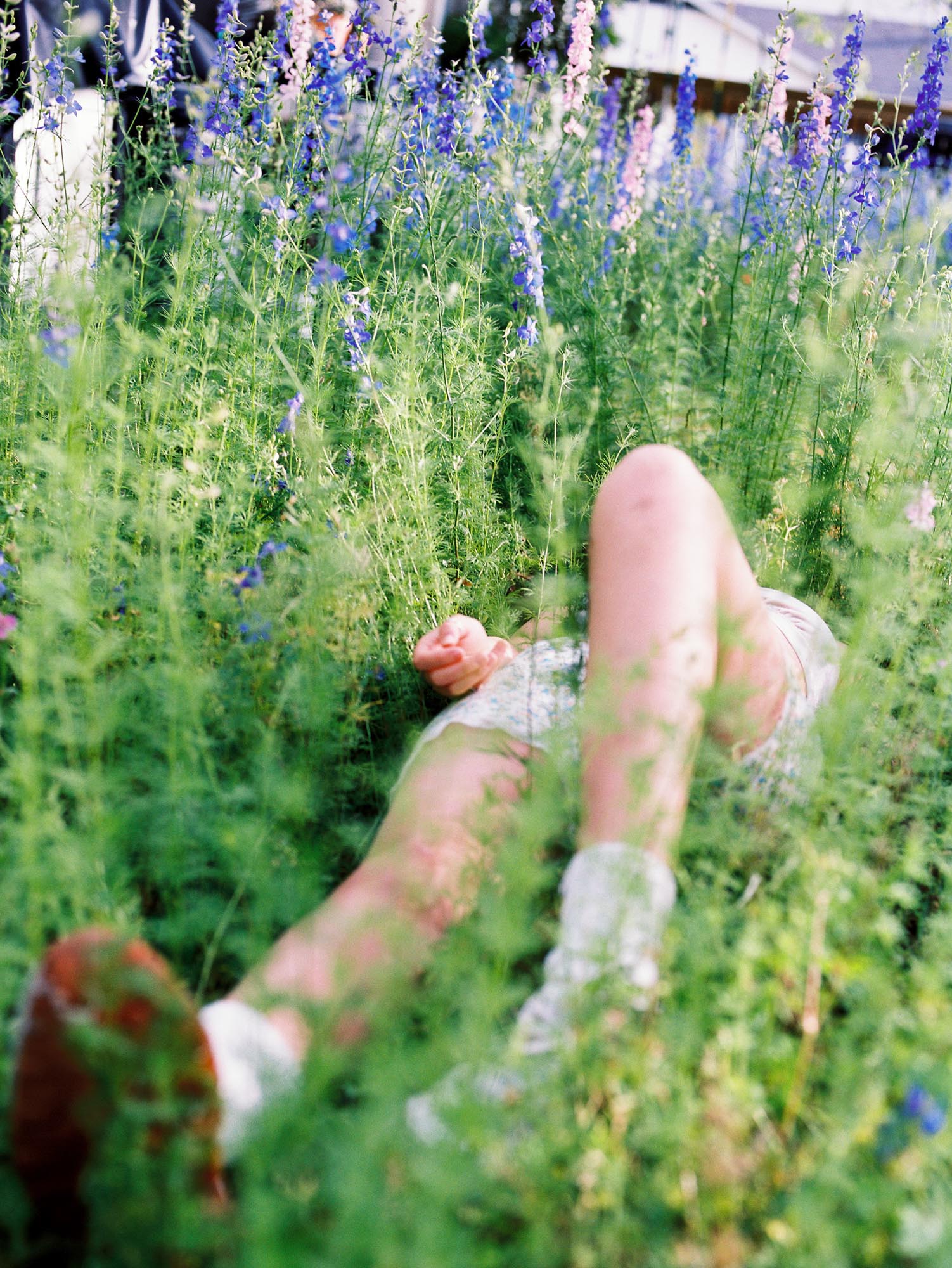 Tender Things - Cathlin McCullough Photography | Legs in Blue and Purple Flowers