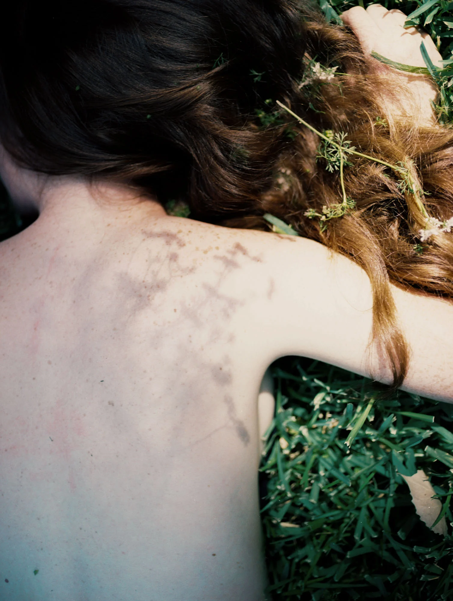 Cathlin McCullough Photography_tender things-21-2.jpg