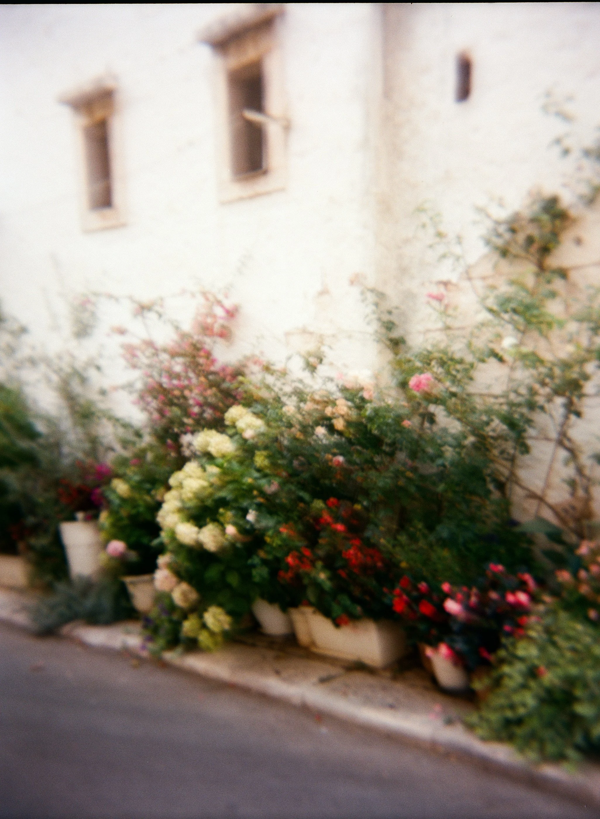 Cathlin McCullough_Italy Puglia-240.jpg