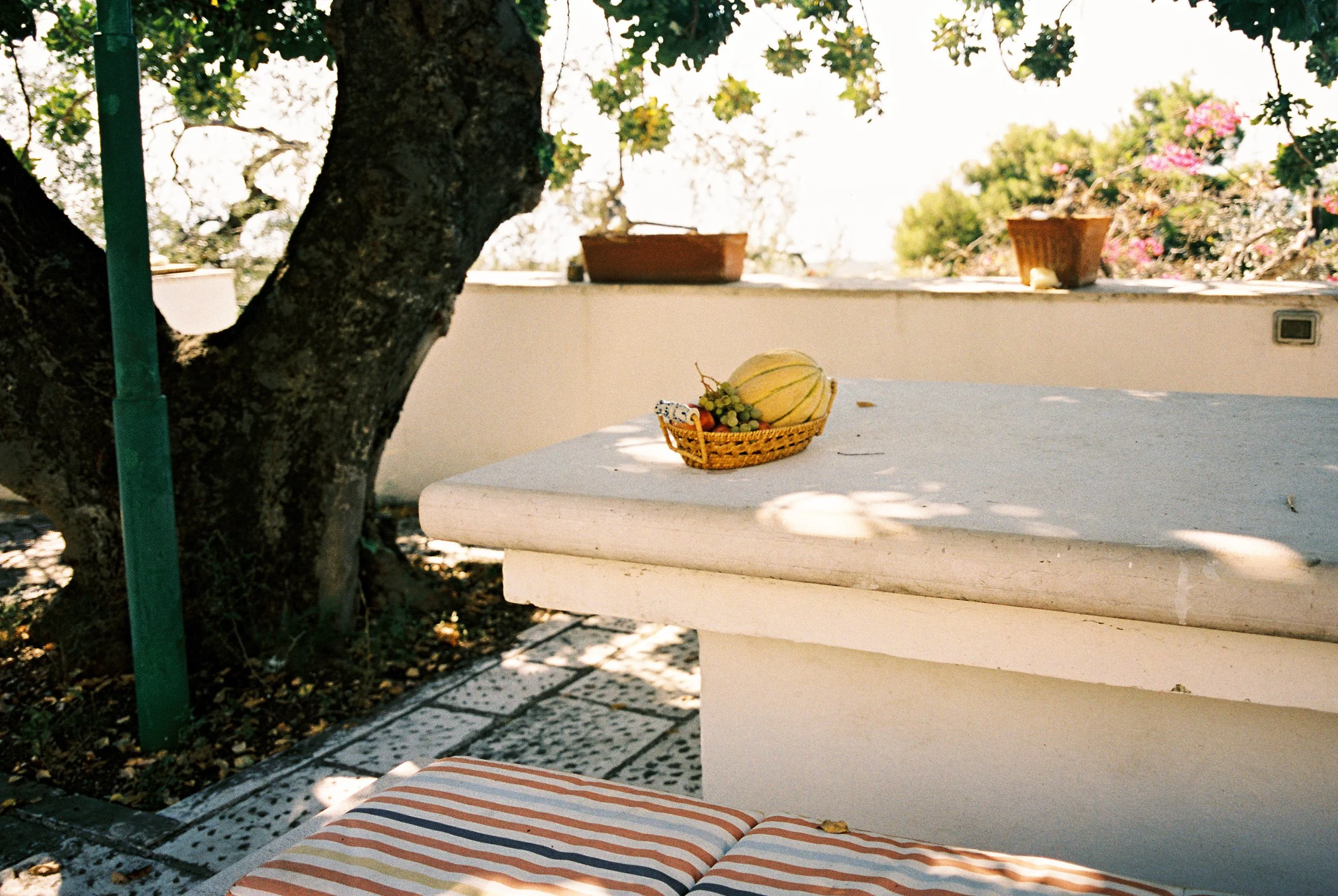 Rome and Puglia_Italy Travel Photographer_Cathlin McCullough-56.jpg