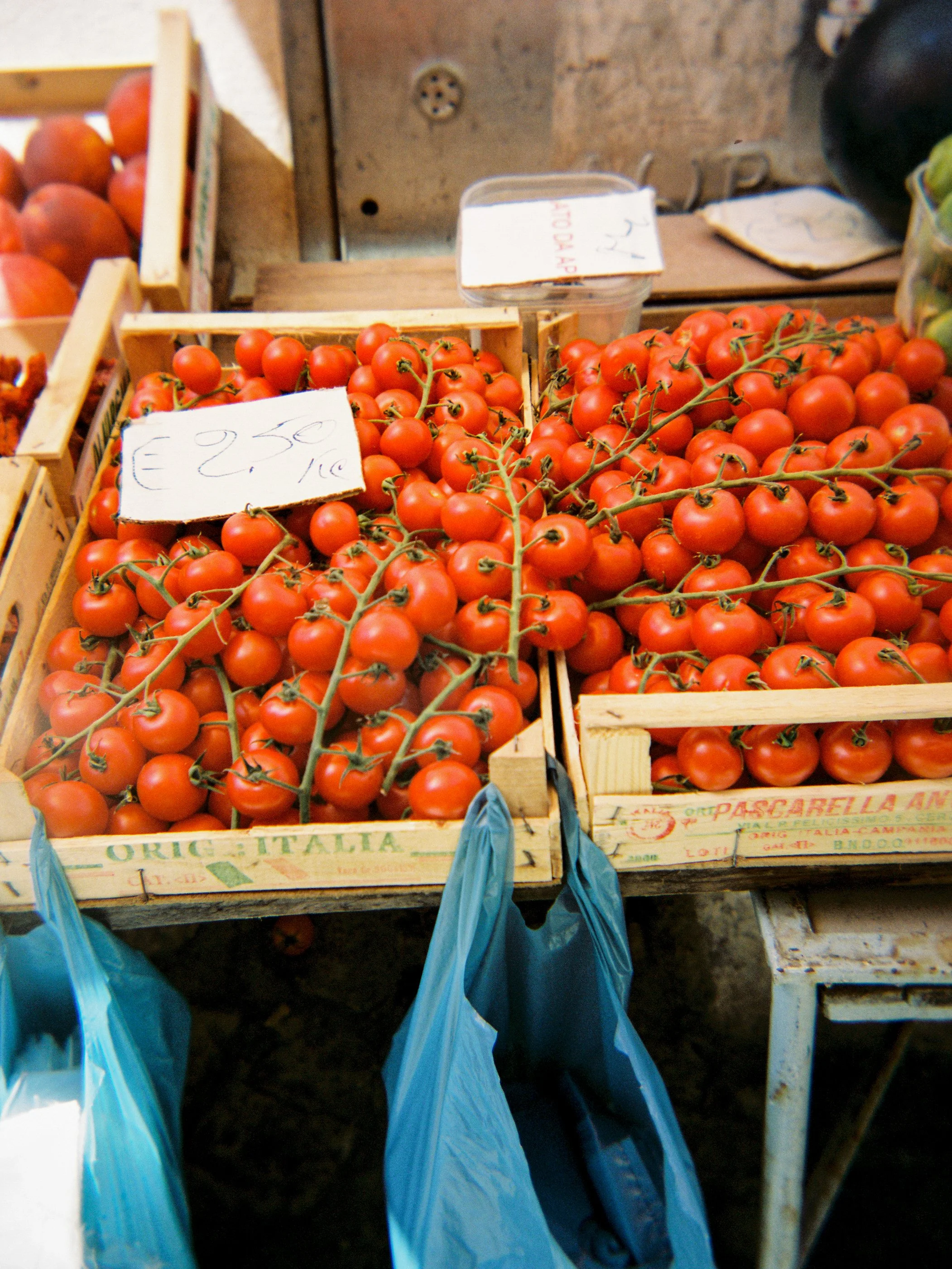 Rome and Puglia_Italy Travel Photographer_Cathlin McCullough-8.jpg