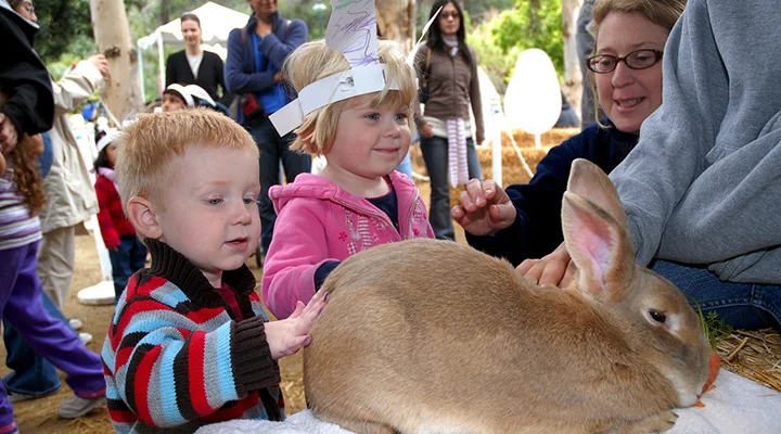 ロサンゼルス エッグハントからシャンパンブランチまで イースター特別イベント７選 Lalamama