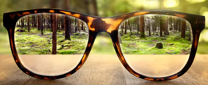 see-forest-clearly-through-glasses.jpg