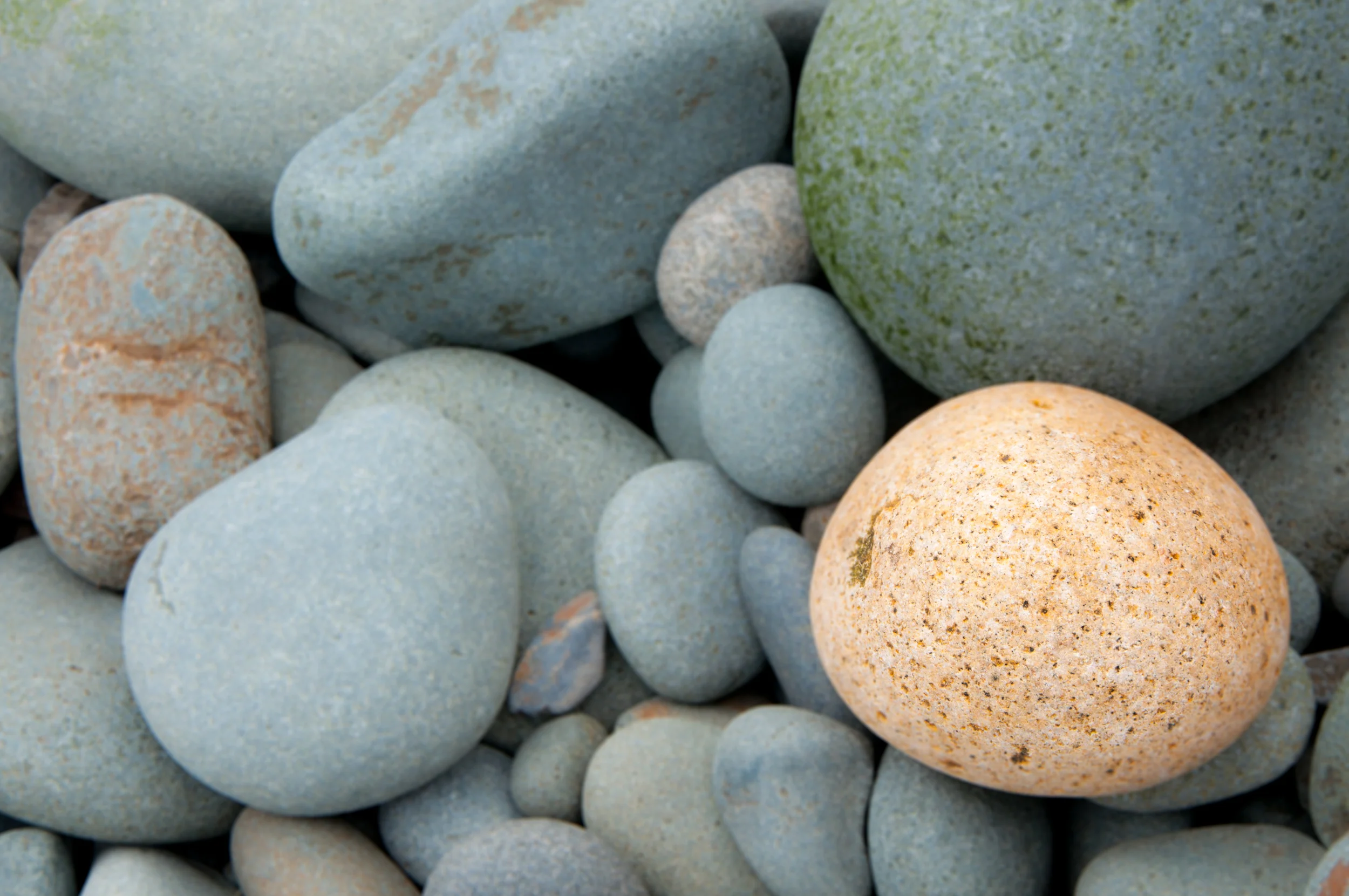 Look down! I noticed this round speckled rock that stood out to me from the others on a recent hike. Whether walking down the street or to/from your car, take a moment to notice what is right in front of you (even if just for a moment). 