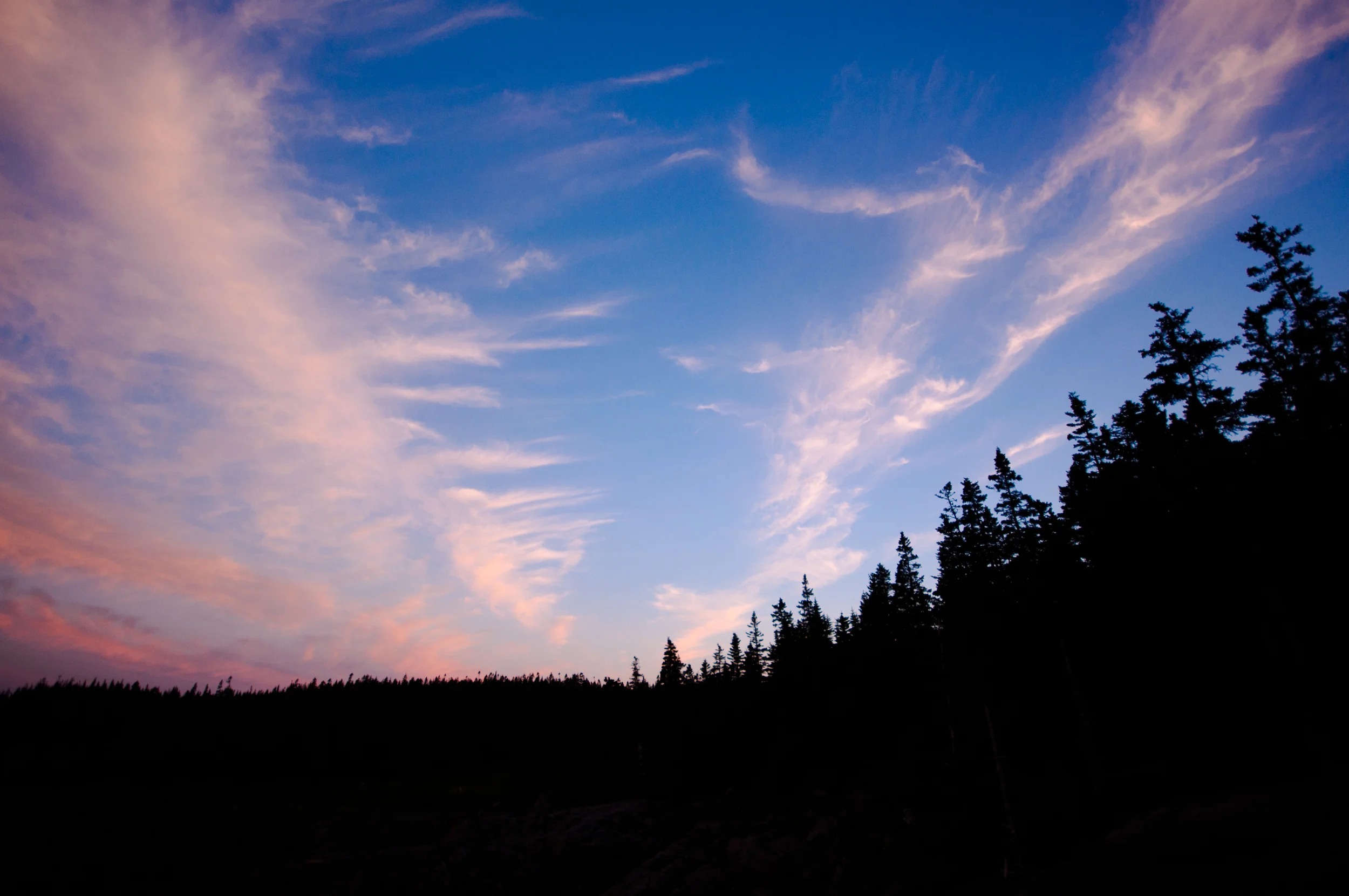 Getting up before the sun rises is always hard... esp. when it is super early in the summer. I am never disappointed when I do. This image was taken at 4:55 a.m. 