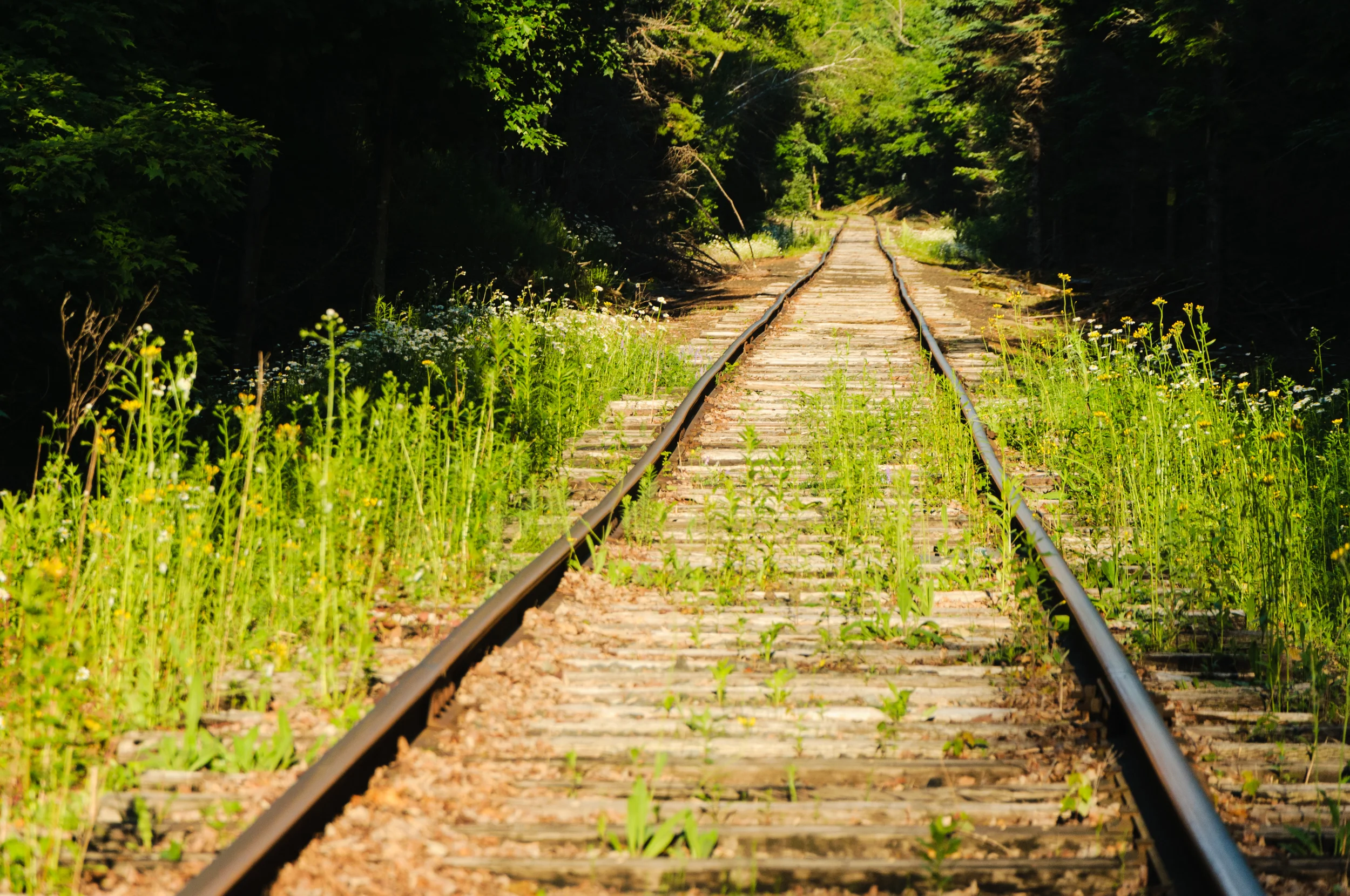 An evening walk along the railroad tracks near my home base in Maine. 