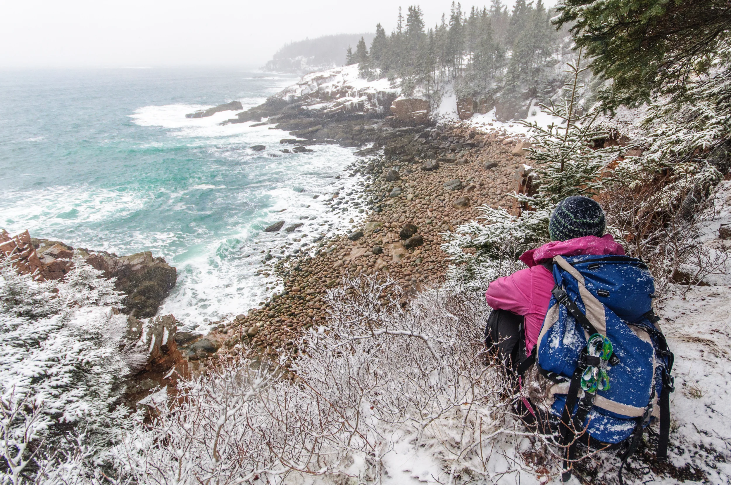 Park Loop Road, Acadia National Park, Maine, USA March 2015
