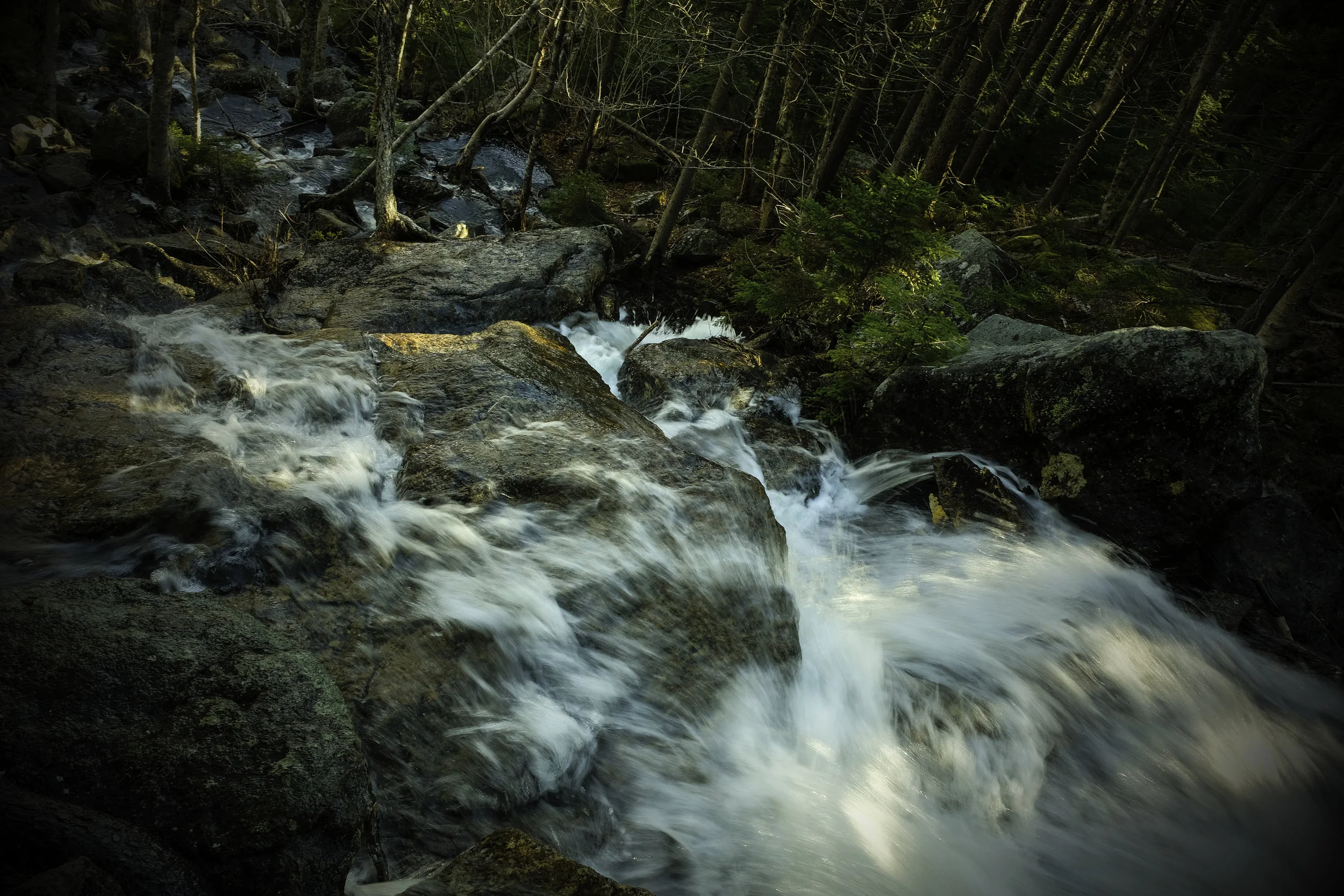 20180505_untitled_TumbledownMtn_DSCF5350.jpg
