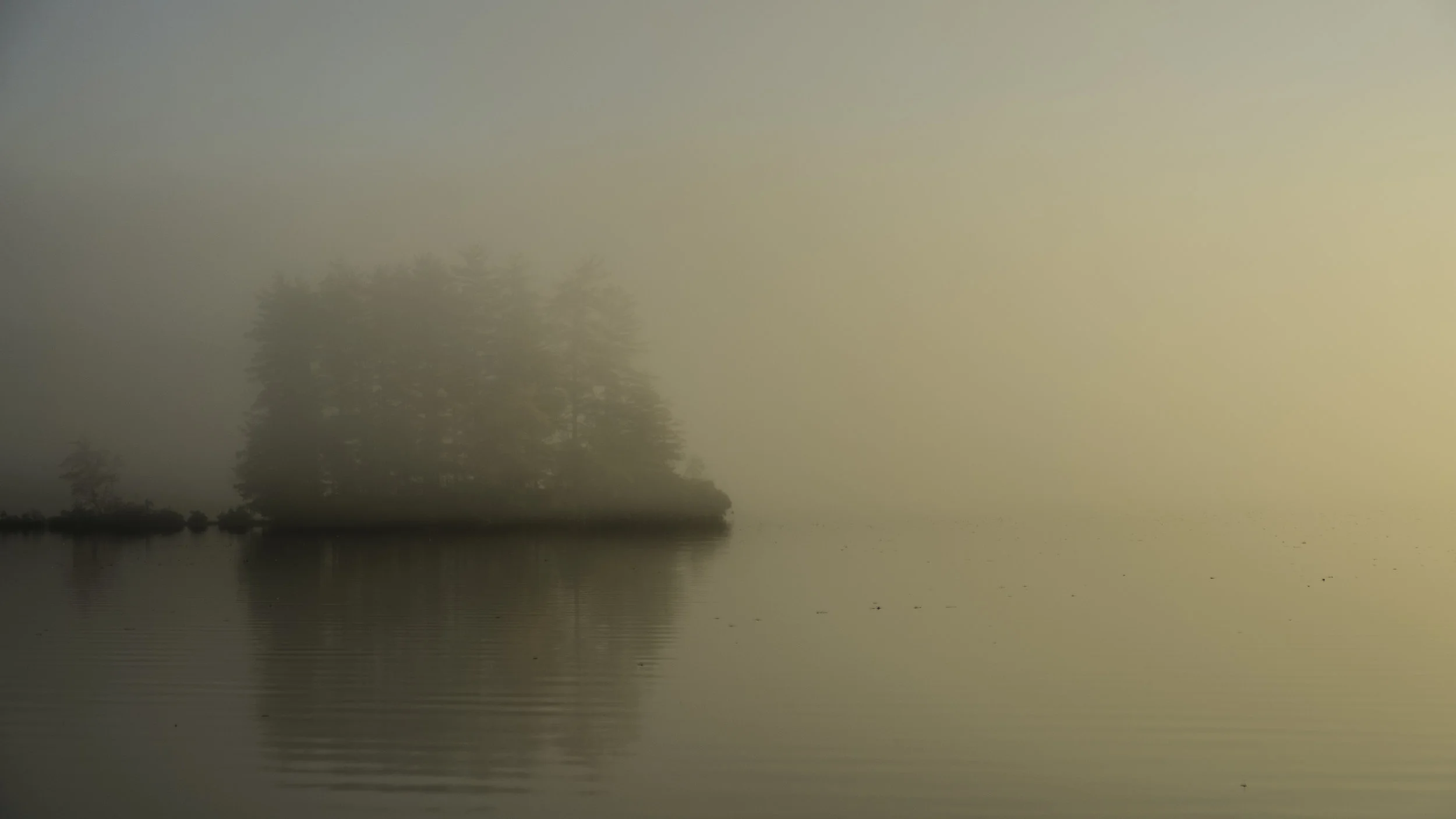 20181009_untitled_WashingtonPond_DSCF5857.jpg