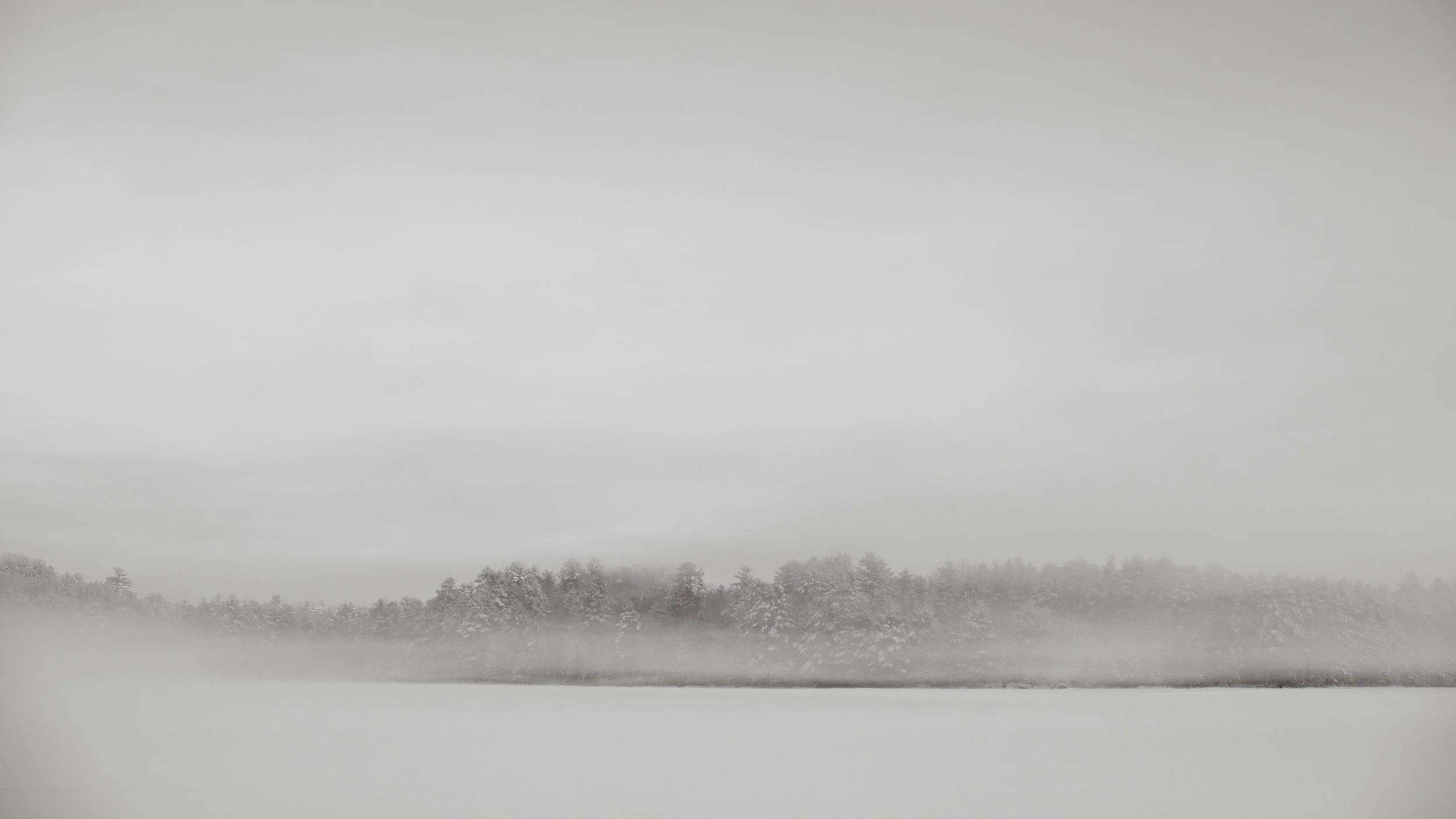8_20180117_untitled_DayAfterSnow_DSCF4073.jpg