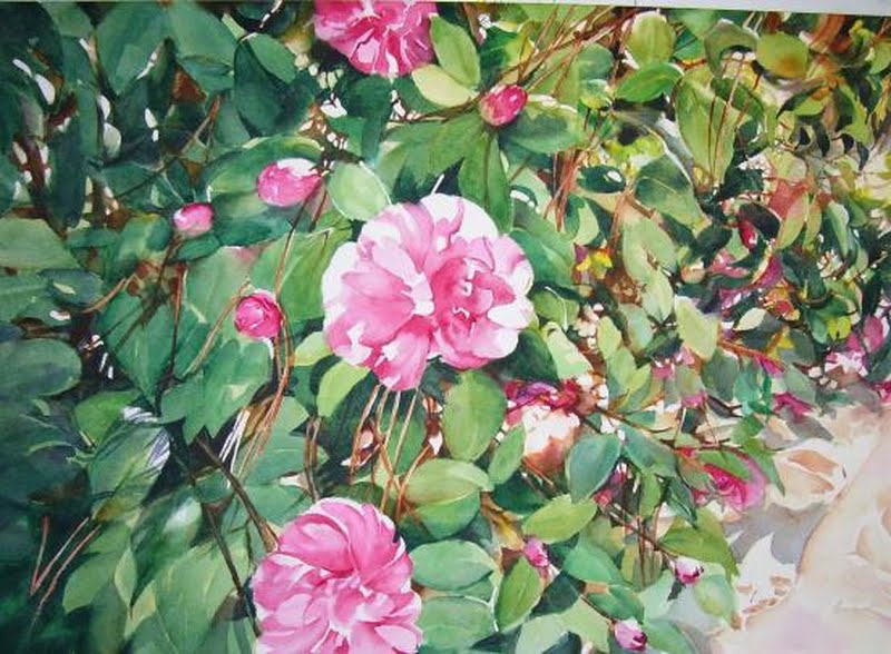 Pepermint_Camellia.jpg