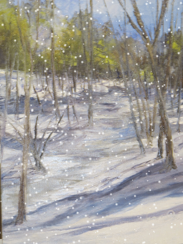 IMG_9947-SNOW.gif