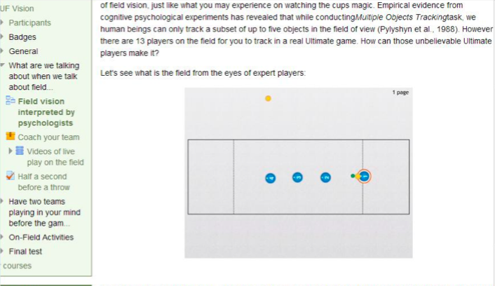 Online lesson
