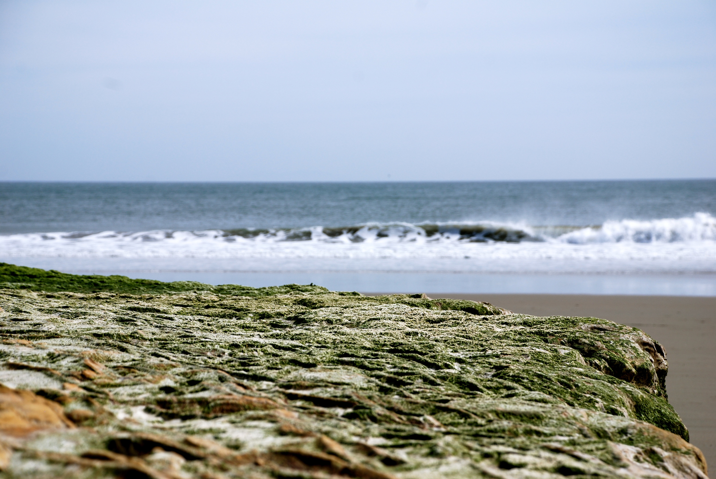 DSC_0646.JPG