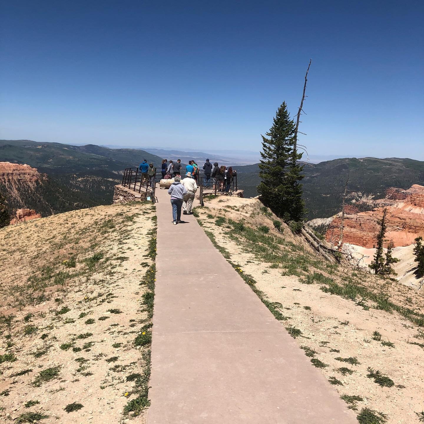 Some amazing views at Cedar Breaks...the Sunset View Overlook.