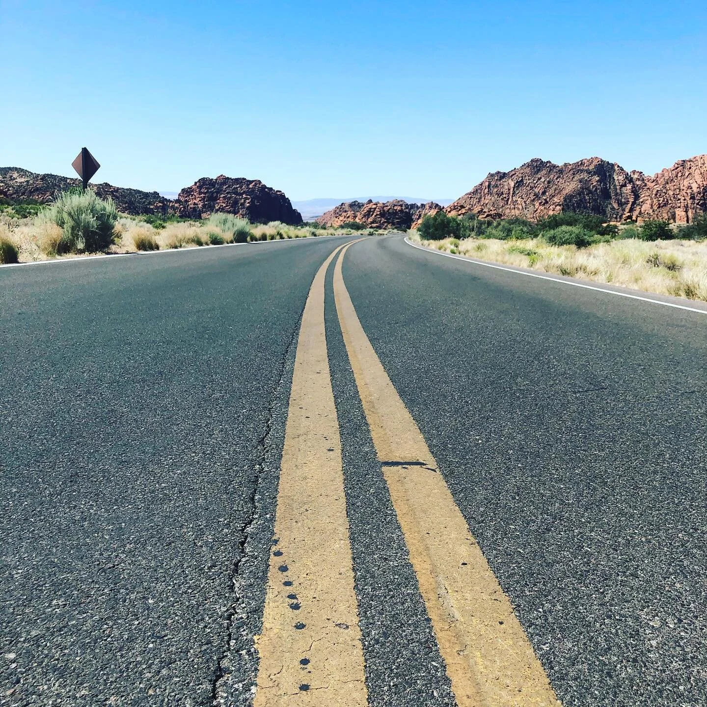Middle of the road. June 8, 2021.