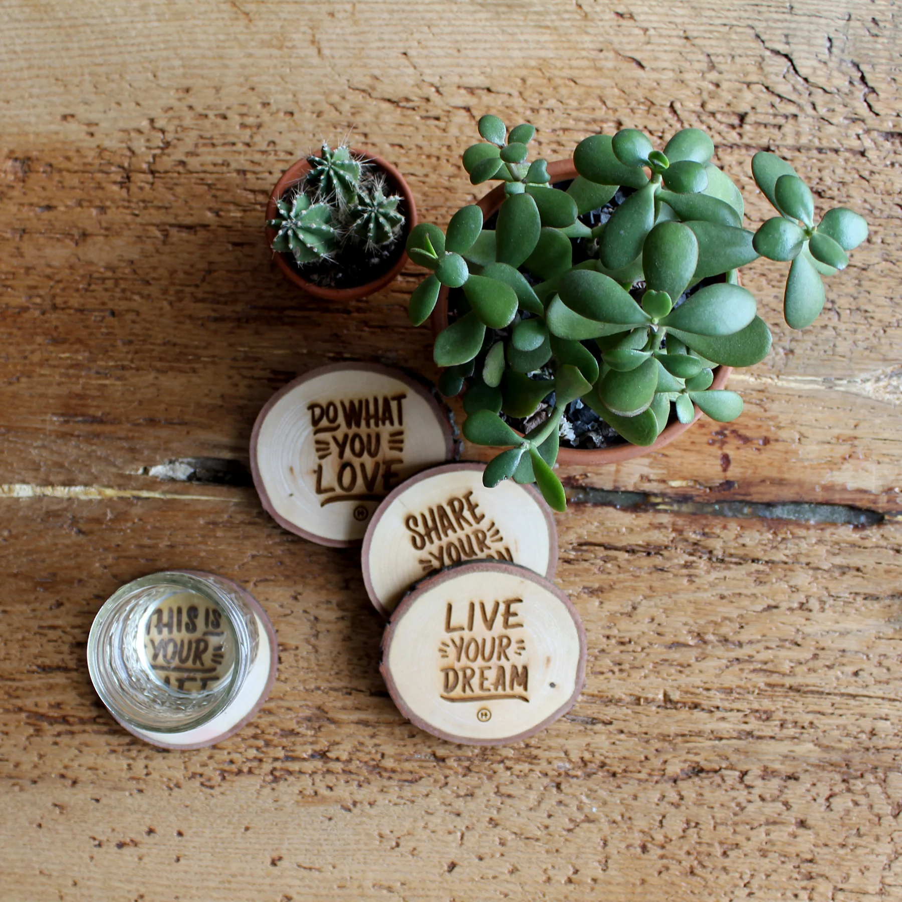 coasters_plantcaup_300.jpg
