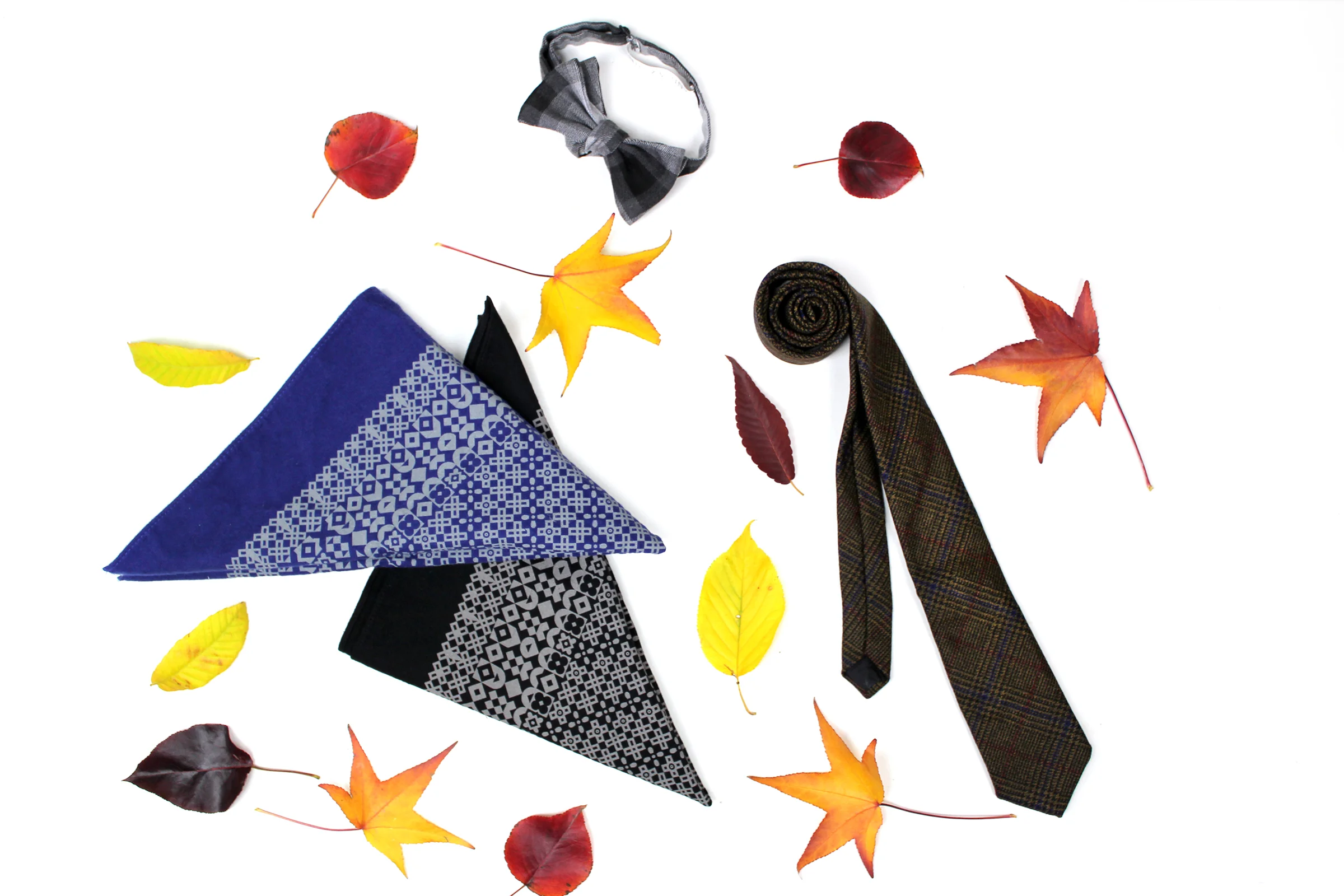 fall_slideshow_image.jpg