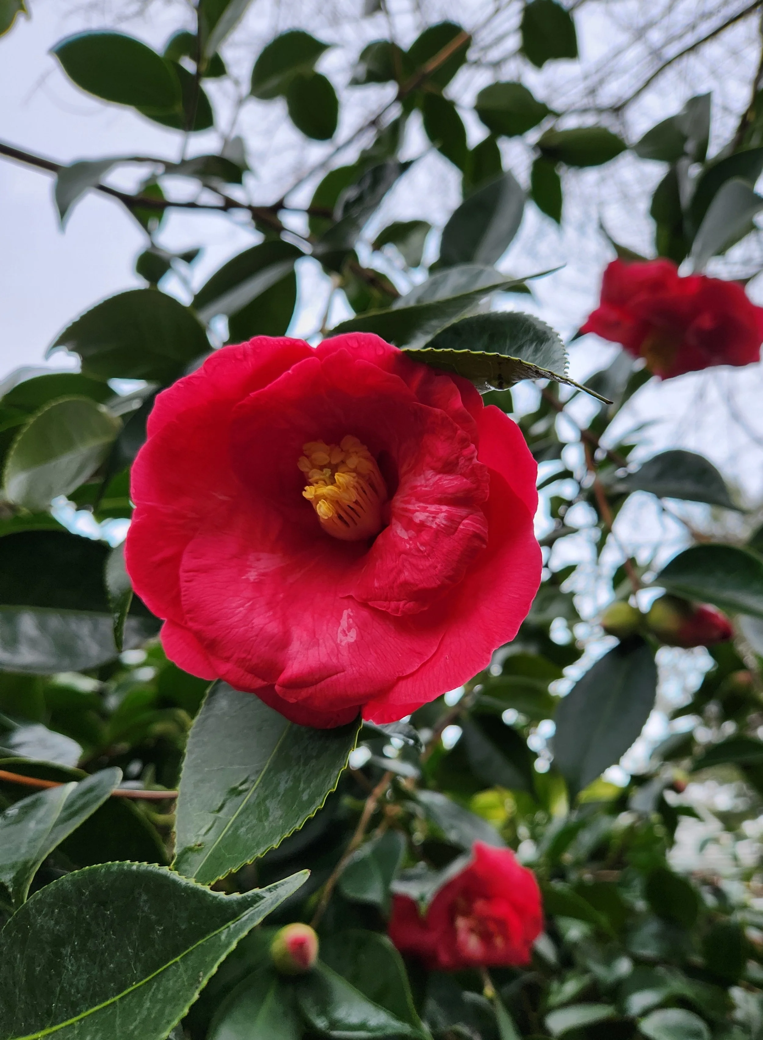 Priti Karan Kaur / Ruth Vargas