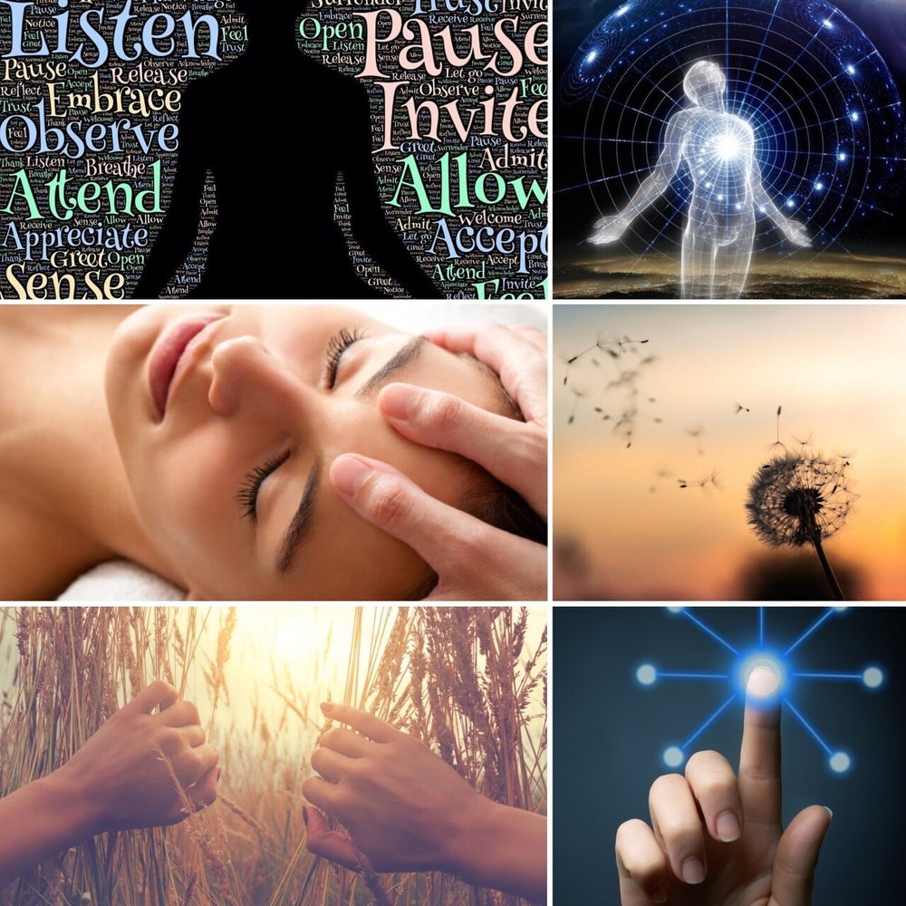 CranioSacral & SomatoEmotional Release Therapy — Serota Massage Therapy