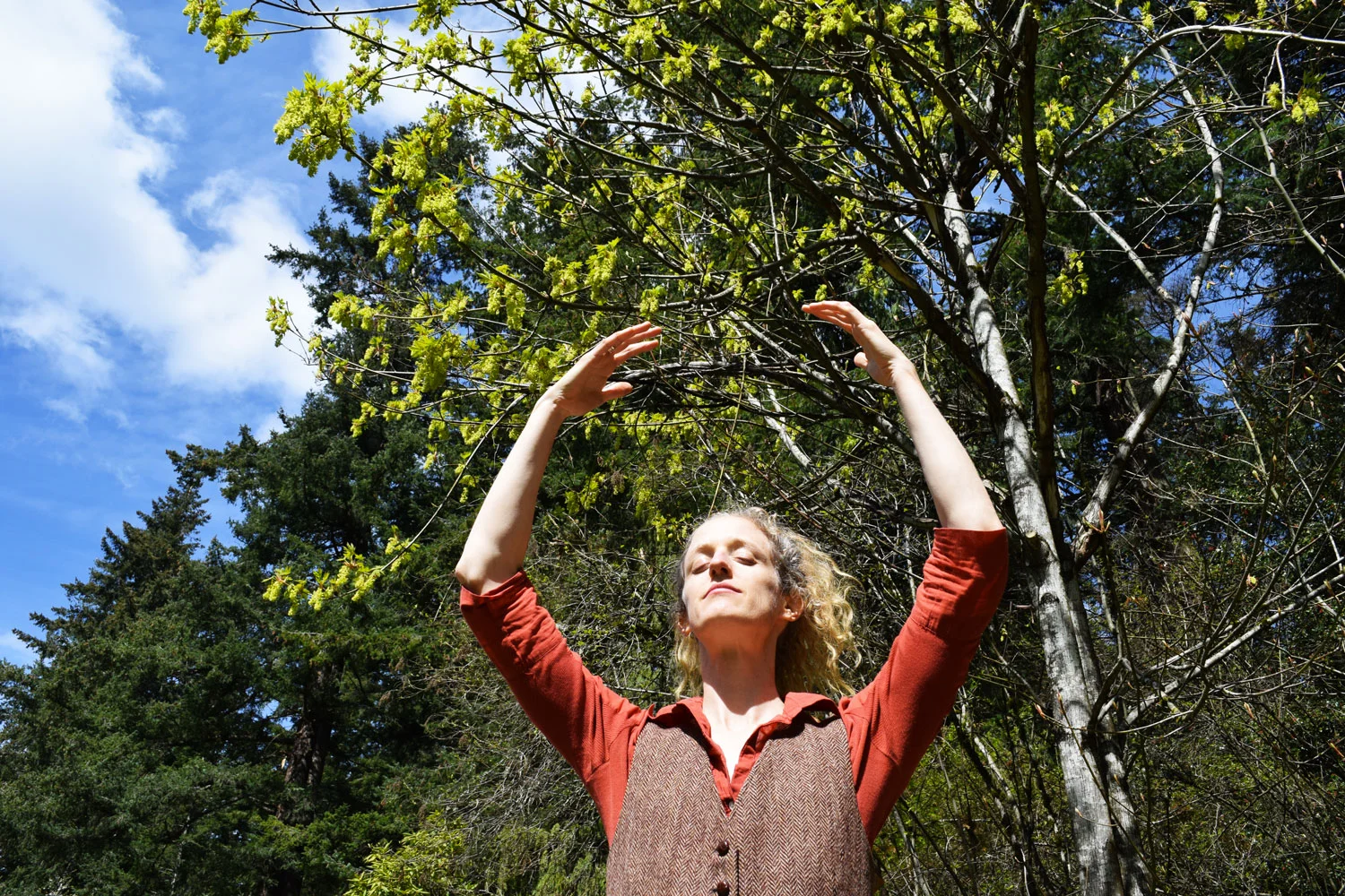 DoctorSunshine_Qigong_Bellingham.jpg