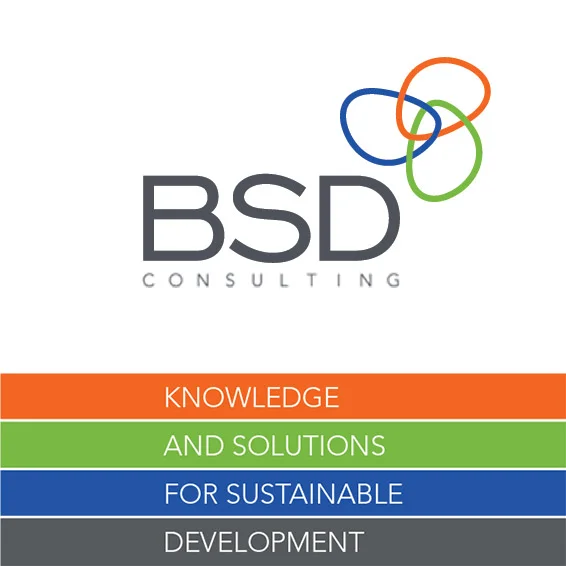 BSD Consulting