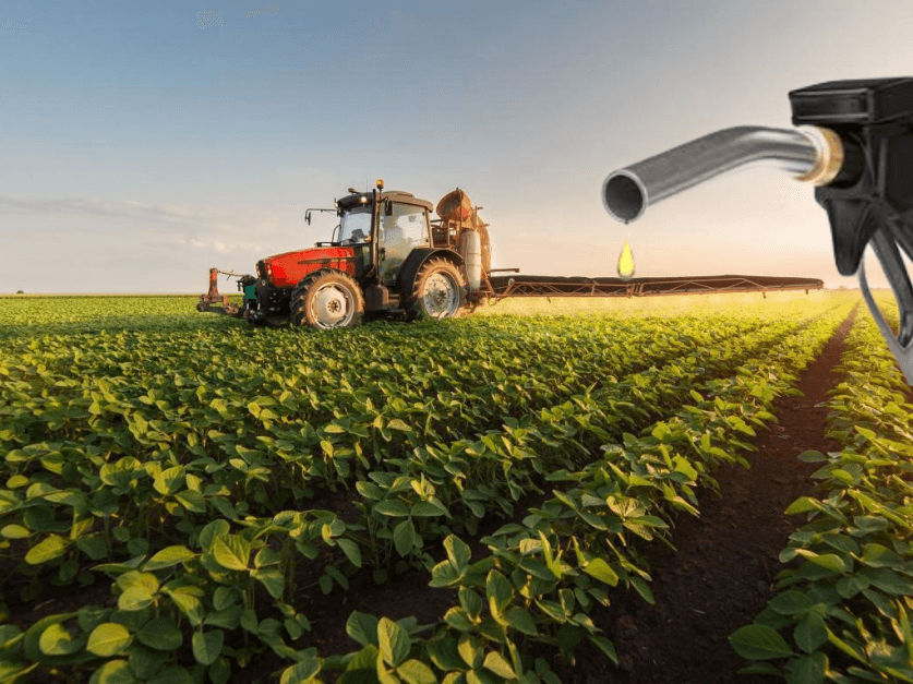 Biofuels - 4th Generation in Argentina
