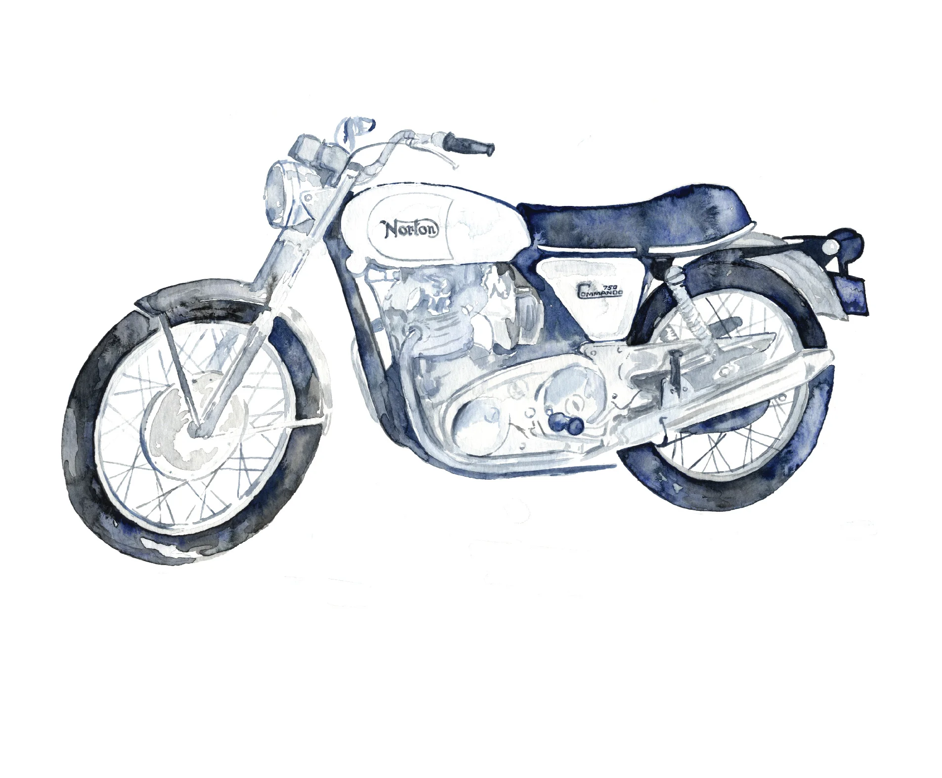 WATERCOLOR NORTON-03.jpg