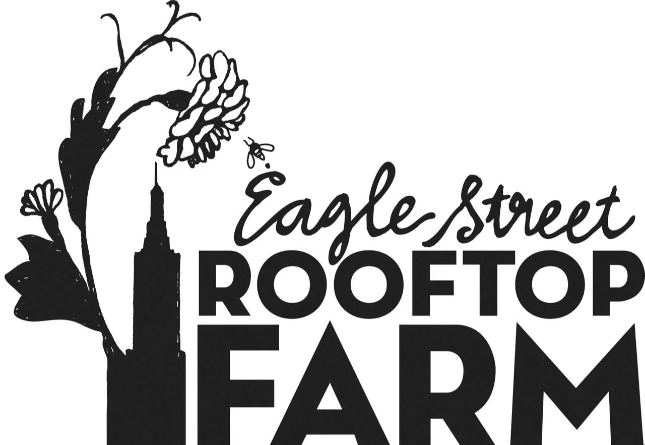 Eagle Street Rooftop Farm is a 6,000 square foot green roof organic vegetable farm locates atop a three story warehouse. Since 2009 they’ve worked with chefs within the neighborhood as well as the community.