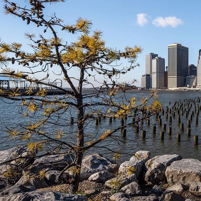 View of #manhattanskyline from #brooklynbridgepark Swipe for panorama Anyone noticing the #statueofliberty ?😜