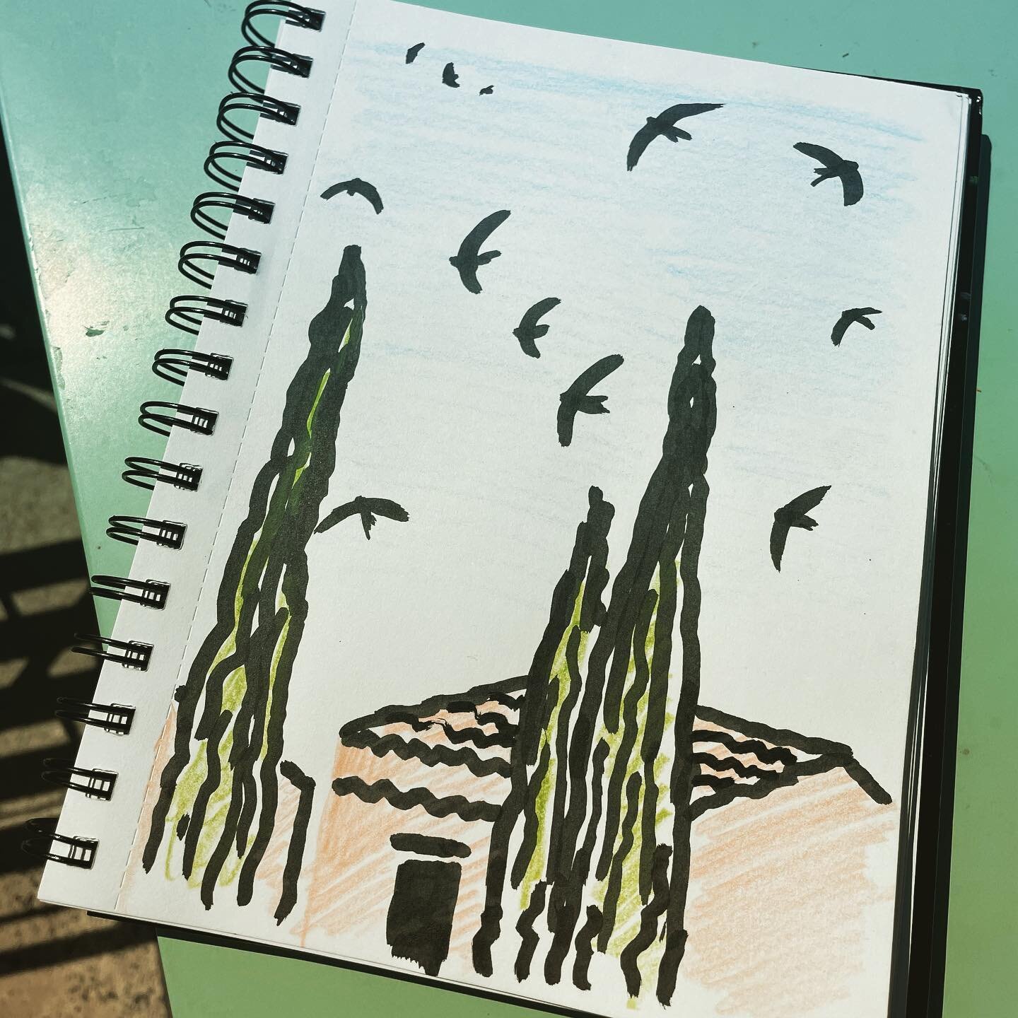 Morning sketches - swallows diving through cypress trees- church bells and cicadas humming. Beautiful #provence #lub&eacute;ron #m&eacute;rindol #france #swallows #blueskies #holidays