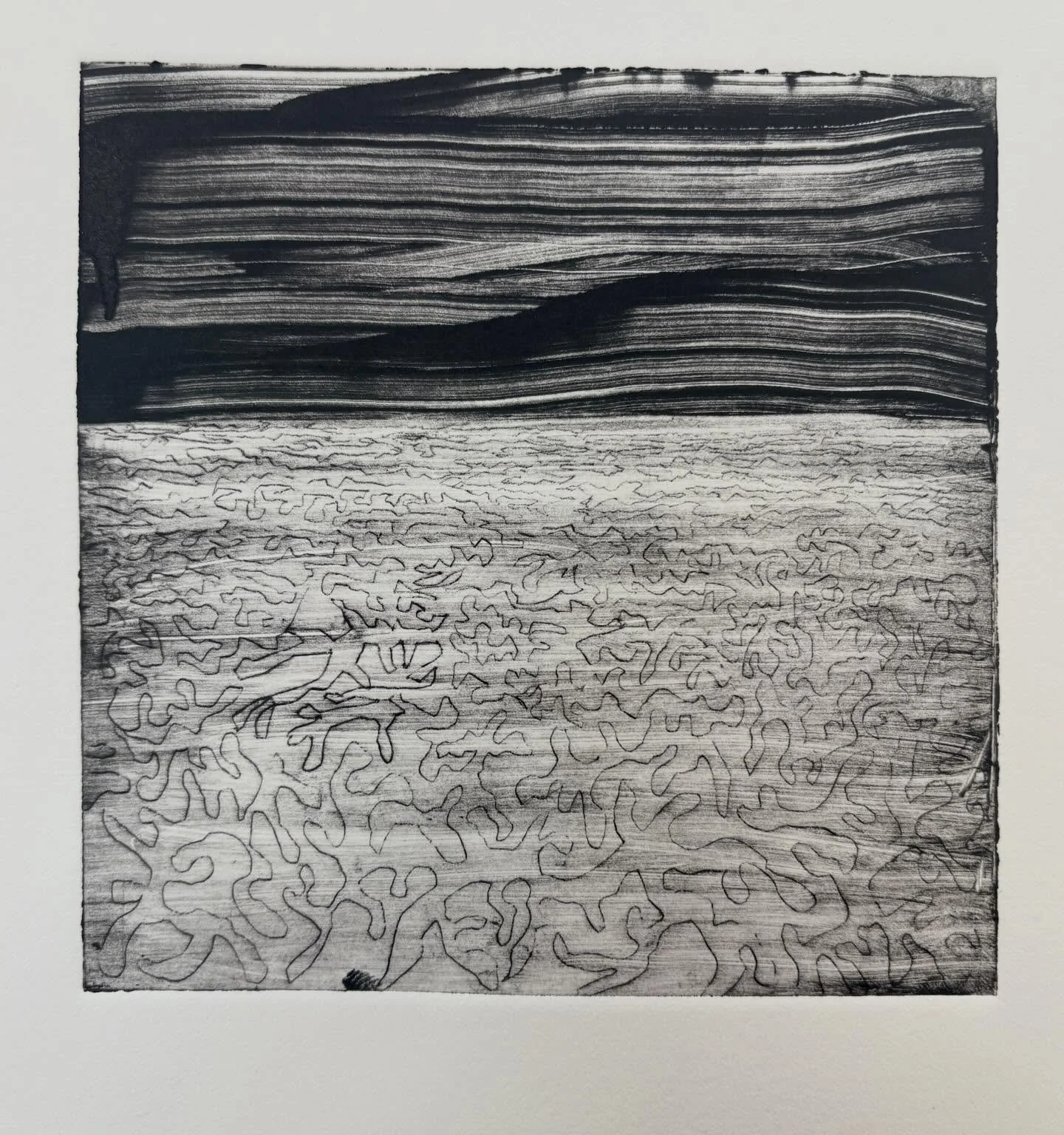 Etching studies - recent low spring tides revealing all that happens below the surface. Layers of seaweed, rock formations, fields of pattern and energy providing so much to explore 
#etching #printstudio #coastalliving #irishsea #handprint