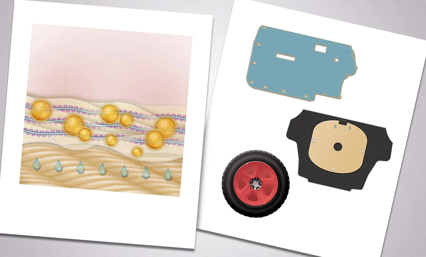 Jergens Lotion Illustration | Door panel, trunk cover and tire cover illustrations for IPC
