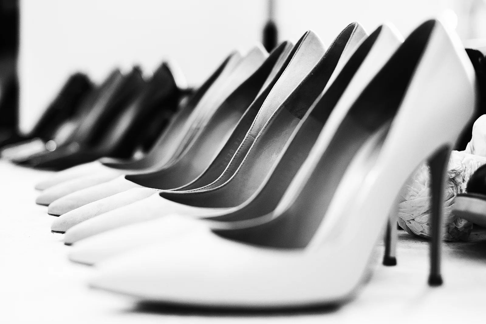 Rows of Manolos, 2015
