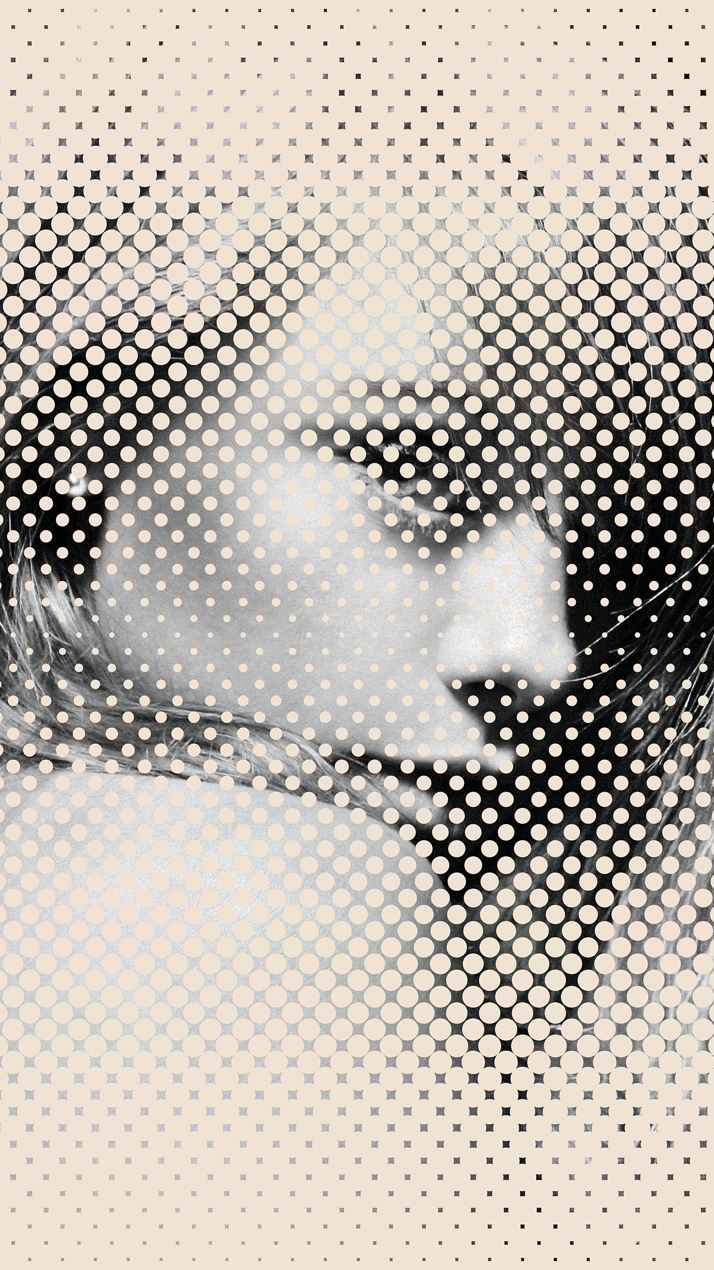 HALFTONE8.jpg