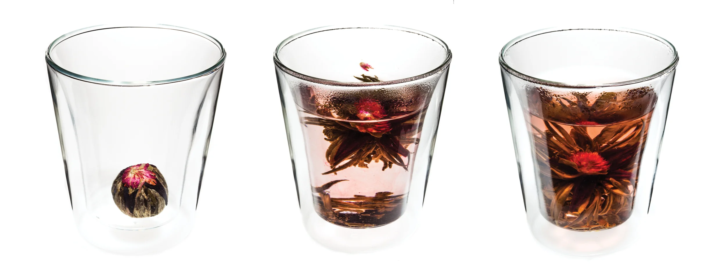 tea cups blossoming.jpg
