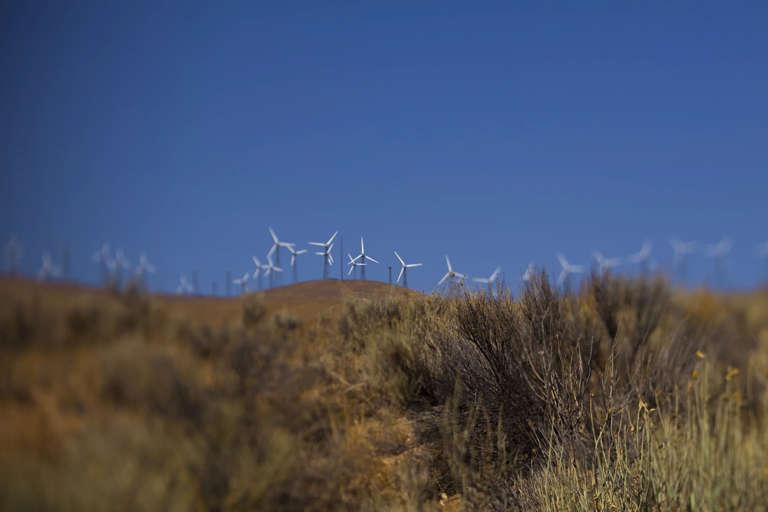 Tehachapi #17