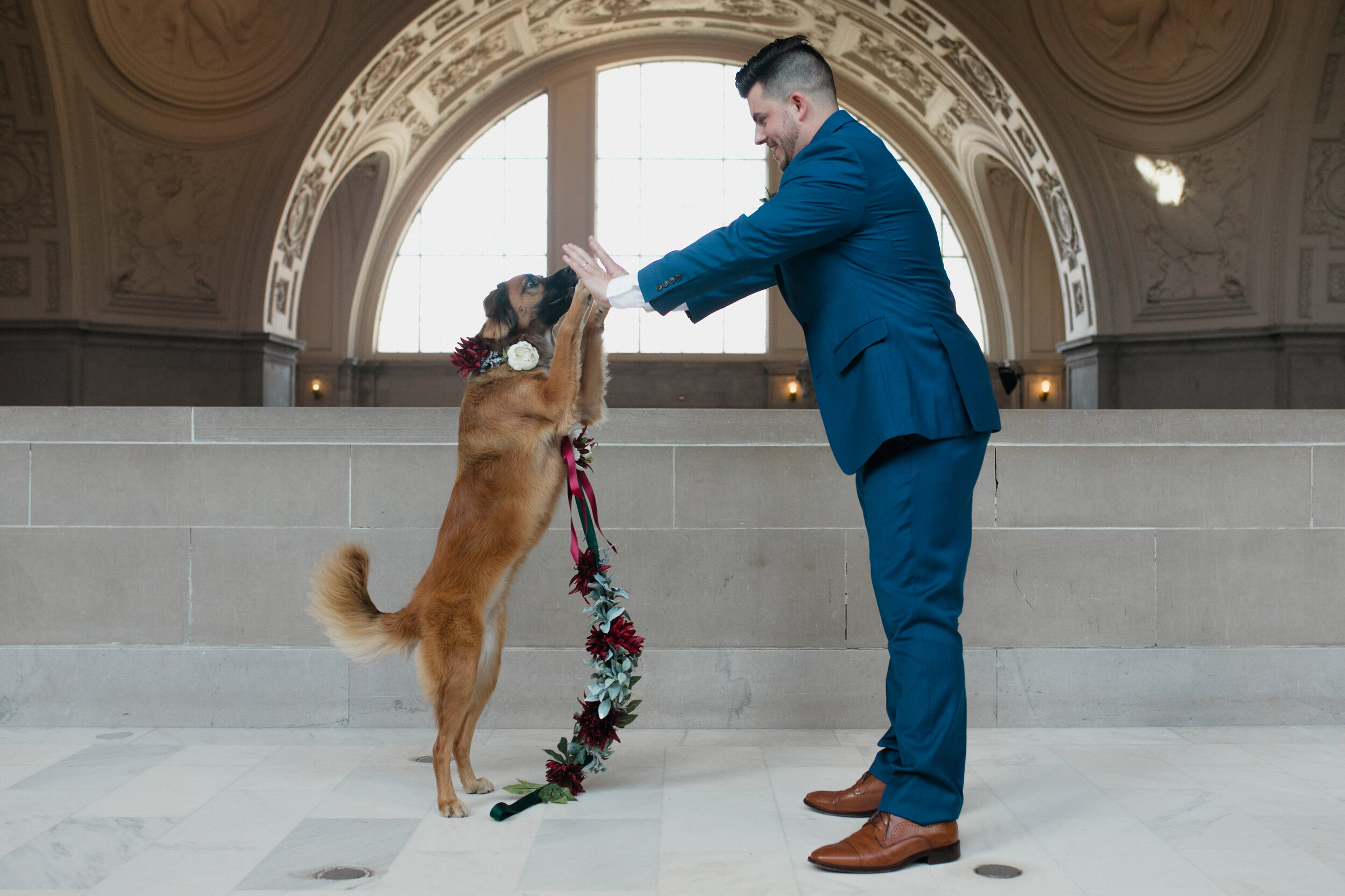 SF City Hall 4th floor dogs at the wedding