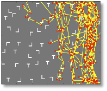 Visual search eye movements.jpg