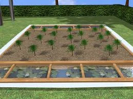 Bog Gardens