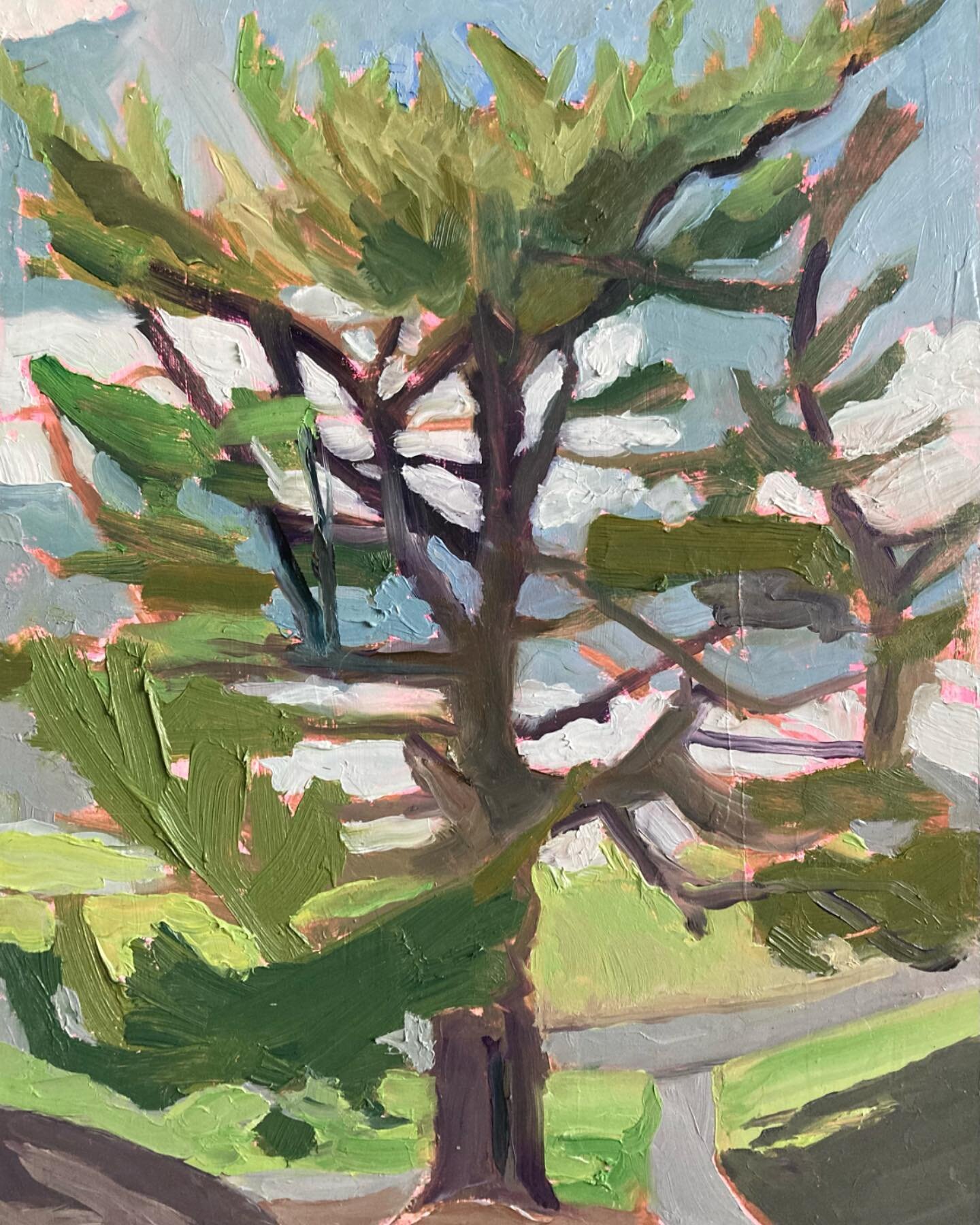Tree by path II, 12x9&rdquo;, oil on board. 

Often, when I like a spot, I&rsquo;ll go back and try it out again from a slightly different angle until the magic fades and then I need to go hunting again. There&rsquo;s comfort in the familiar and it s