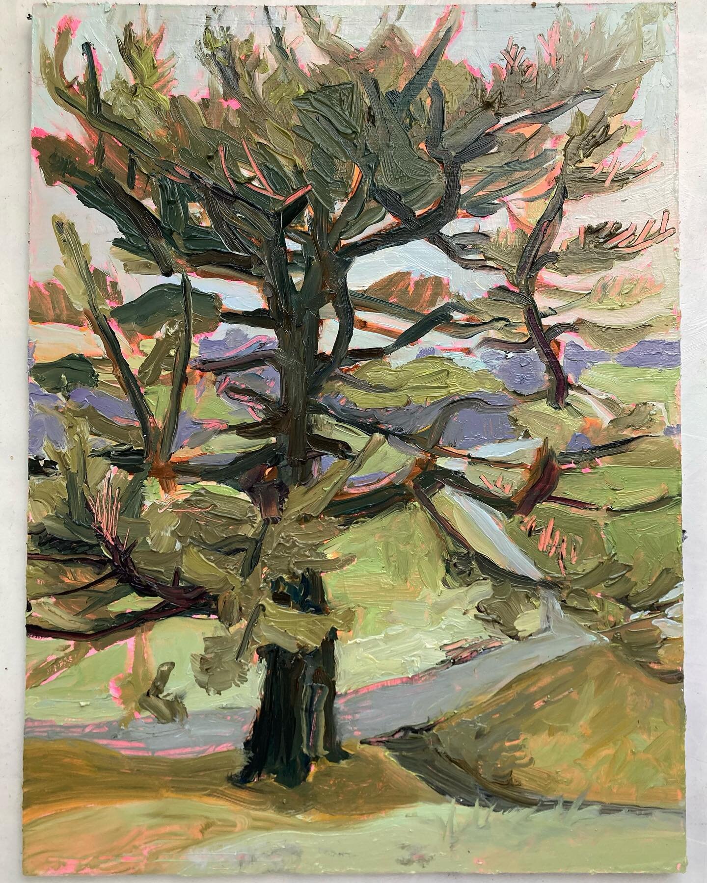 Tree by path, 12x9&rdquo; (30.5x23 cm), oil on board. Paint till my fingers get too cold 🧤

_
#sold